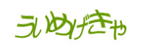 認証画像