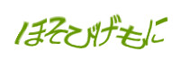 認証画像