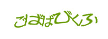 Authentication image